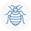 Bed Bug Extermination In Penge