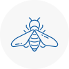 Bee Nest Removal Penge