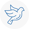 Bird Prevention Penge