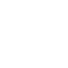 Domestic Ant Control For Penge