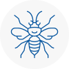 Penge Hornet Nest Removals
