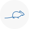 Mice Exterminators In Penge