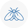 Moth Control Specialists In Penge