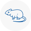 Rat Control Penge