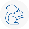 Penge Rodent Removals